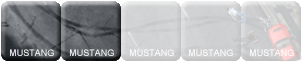 Illustration for article titled Threat Level: Mustang